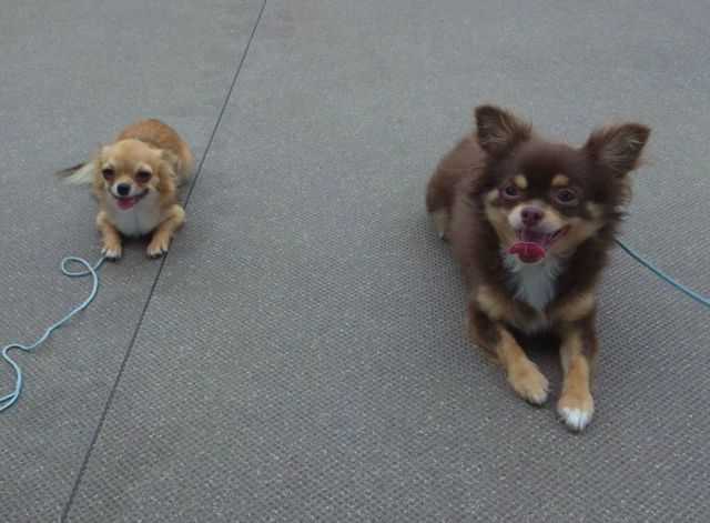 2010 09.17 041.jpg