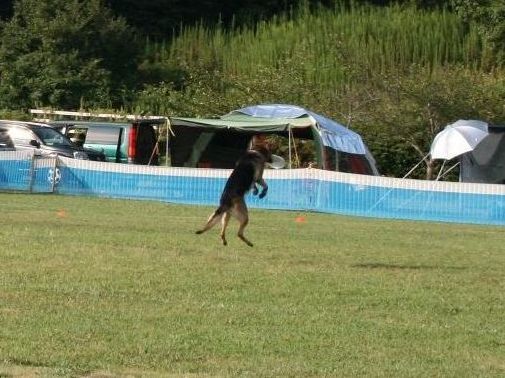 2010 09.20 フリ大会 038.jpg