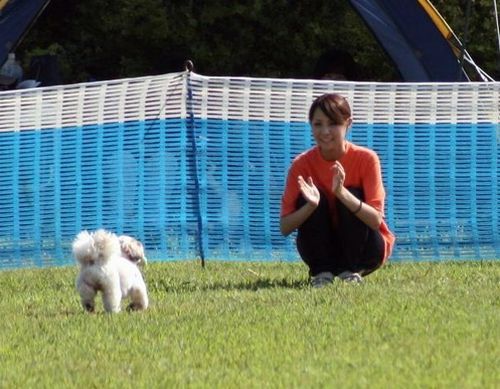 2010 09.20 フリ大会 242.jpg