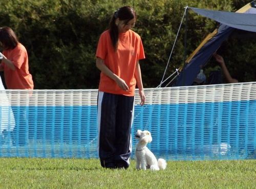 2010 09.20 フリ大会 292.jpg