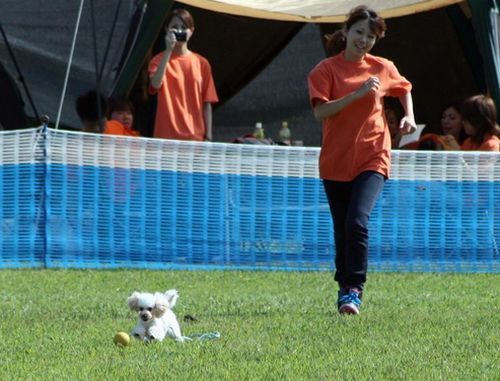 2010 09.20 フリ大会 341.jpg