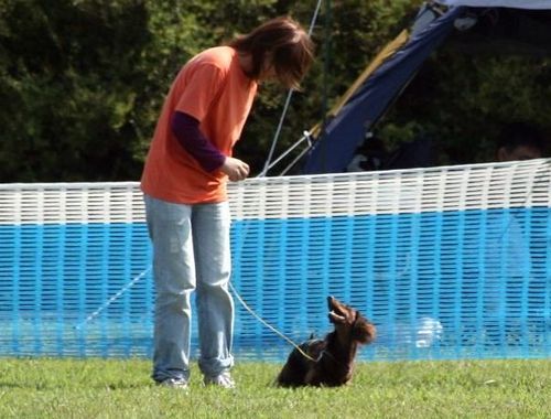 2010 09.20 フリ大会 400.jpg