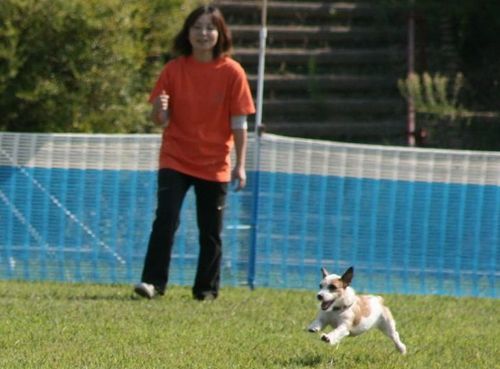 2010 09.20 フリ大会 423.jpg