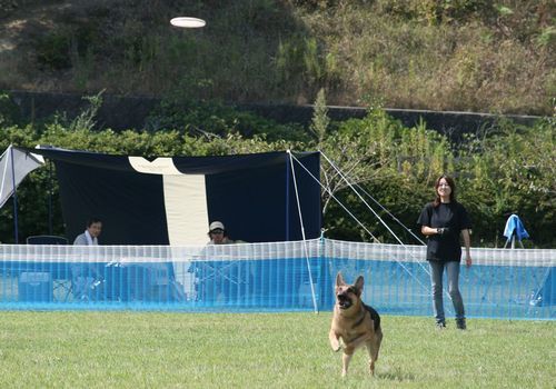 2010 09.20 フリ大会 473.jpg