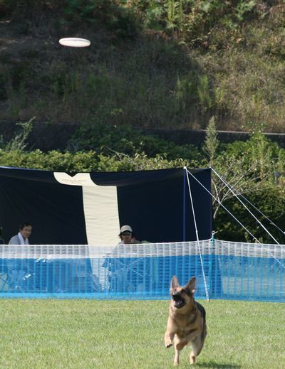 2010 09.20 フリ大会 474.jpg