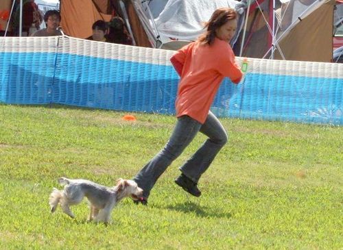 2010 09.20 フリ大会 529.jpg