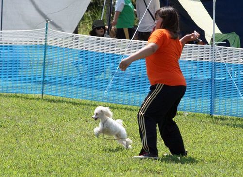 2010 09.20 フリ大会 541.jpg