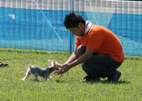 2010 09.20 フリ大会 573.jpg