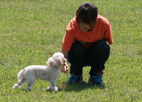 2010 09.20 フリ大会 601.jpg