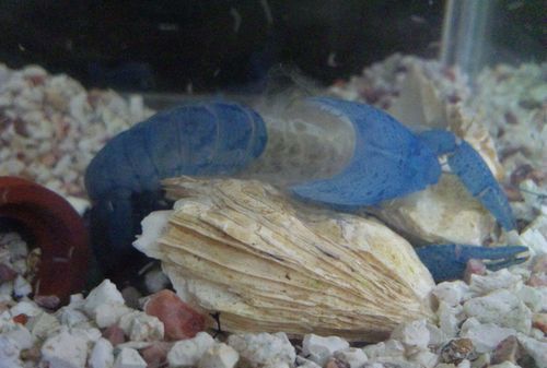 2010 09.23 004.jpg