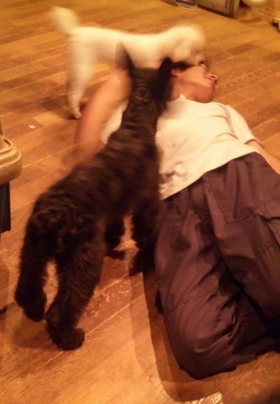 2010 09.23 005.jpg