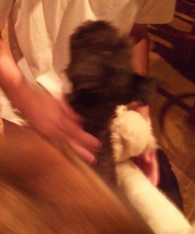 2010 09.23 007.jpg