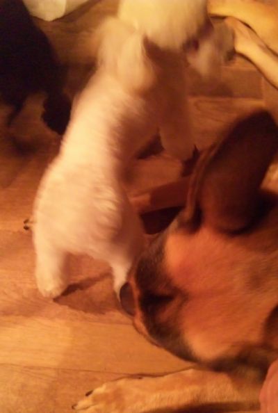 2010 09.23 008.jpg