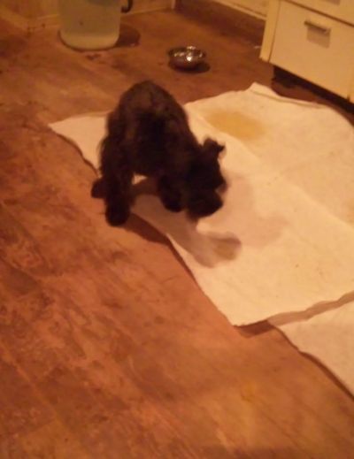 2010 09.23 012.jpg
