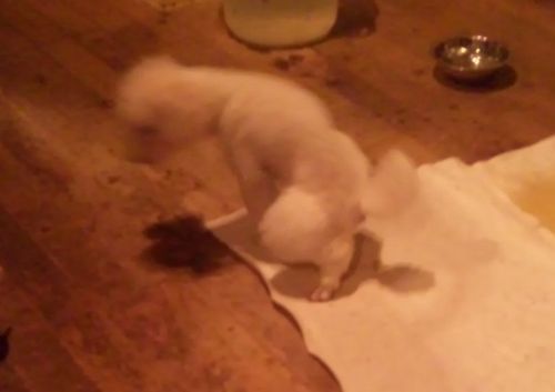 2010 09.23 017.jpg