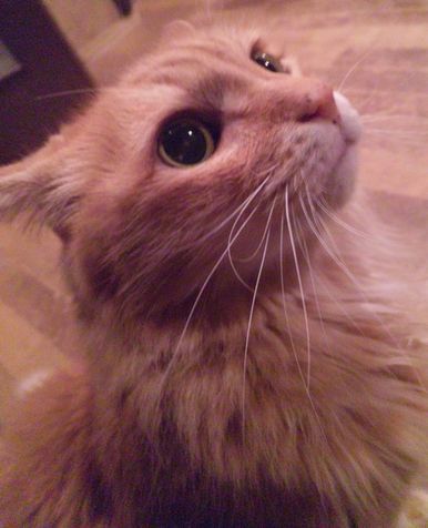 2010 09.28 004.jpg