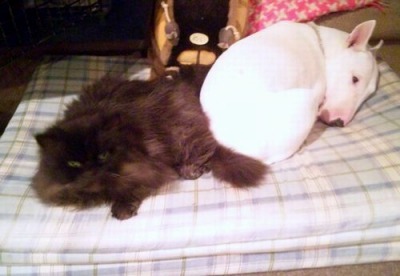 2010 12.24 016.jpg