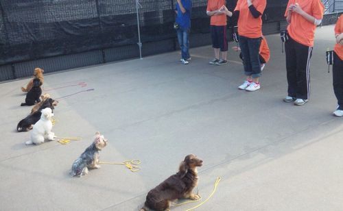 2011.05.17 006.jpg