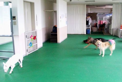 2011.11.18 031.jpg