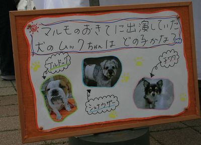 2011.11.3 005.jpg