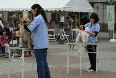 2011.11.3 045.jpg