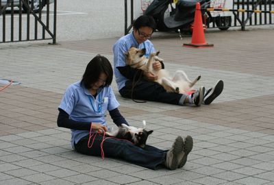 2011.11.3 122.jpg