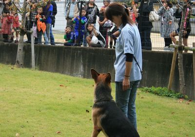 2011.11.6 001.jpg