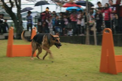2011.11.6 013.jpg