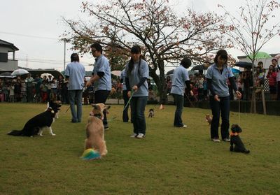 2011.11.6 044.jpg