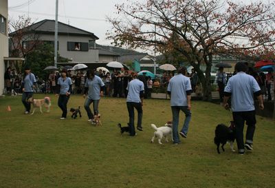 2011.11.6 055.jpg
