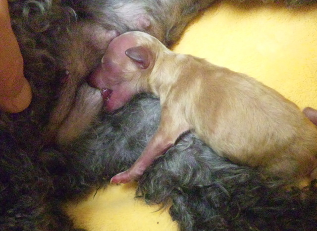 2011.5.16 001.jpg