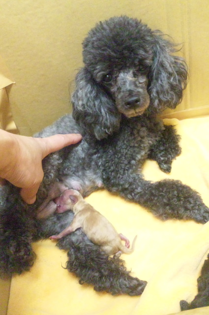 2011.5.16 002.jpg