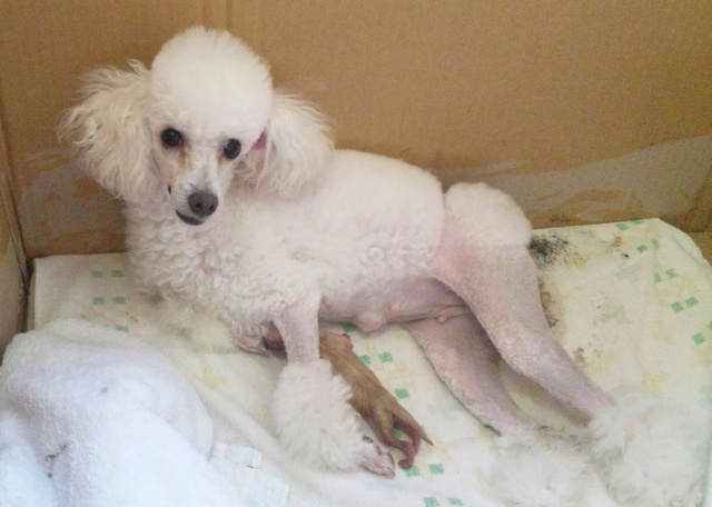 2011.5.16 003.jpg