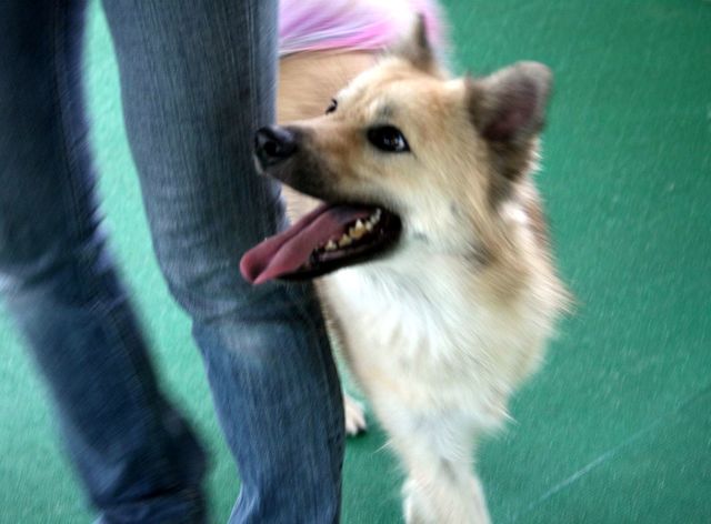 2011.5.24 075.jpg
