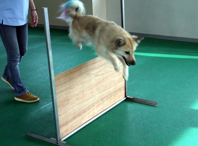 2011.5.24 085.jpg