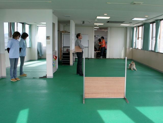 2011.5.24 087.jpg