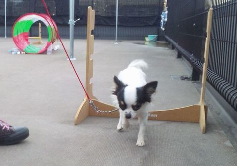 2011 11.11 026.jpg