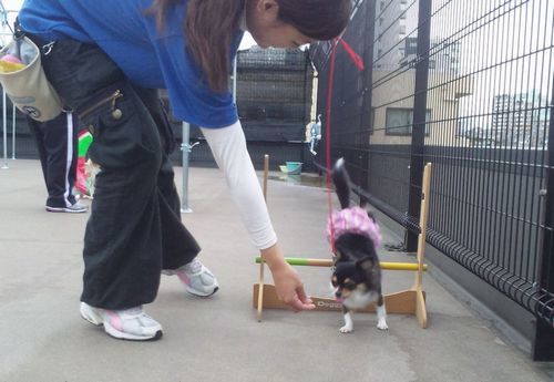 2011 11.11 029.jpg