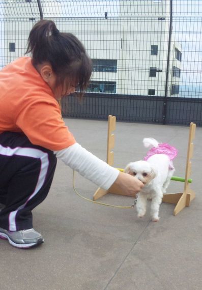 2011 11.11 032.jpg