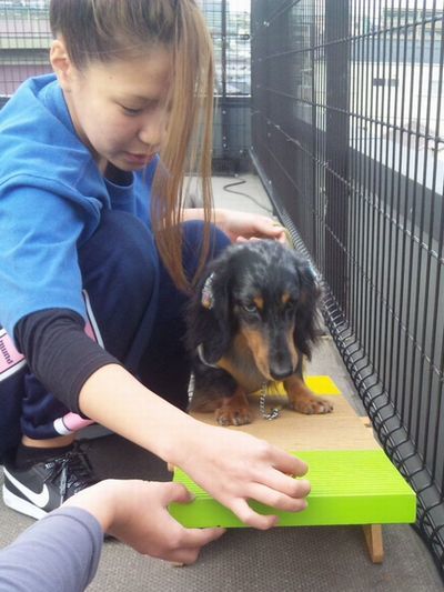 2011 11.11 036.jpg