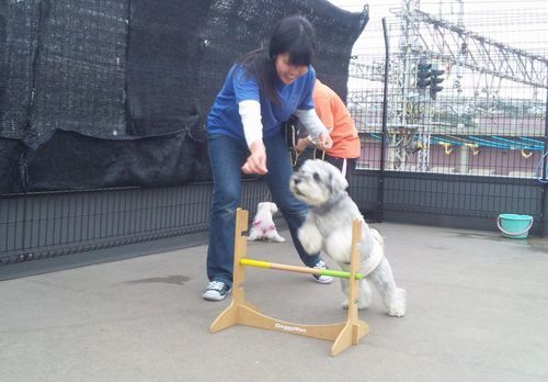 2011 11.11 044.jpg