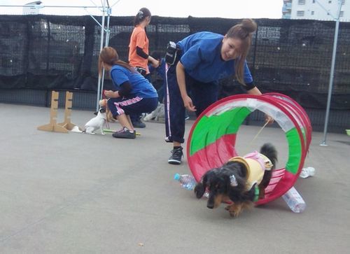 2011 11.11 055.jpg