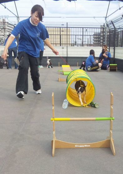 2011 11.11 067.jpg