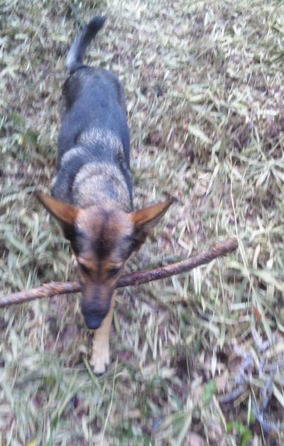2011 11.13 019.jpg