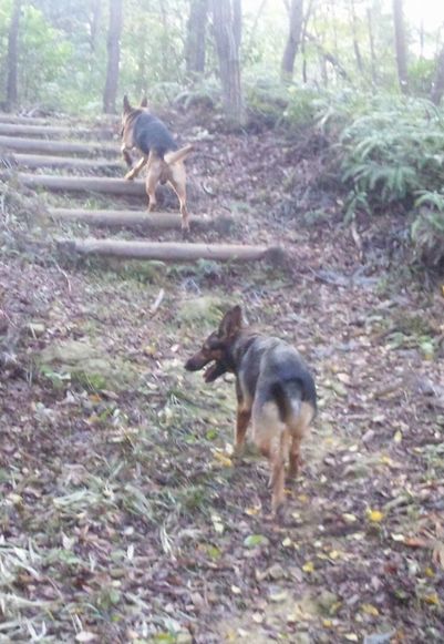 2011 11.13 025.jpg