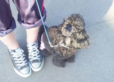 2011 11.17 006.jpg