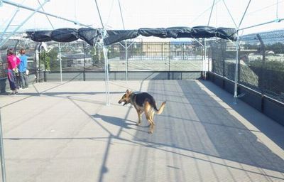 2011 11.17 009.jpg