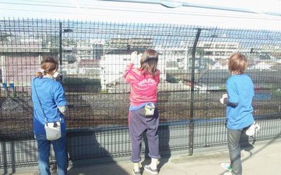 2011 11.17 011.jpg
