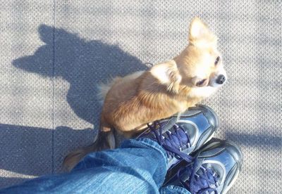 2011 11.17 015.jpg