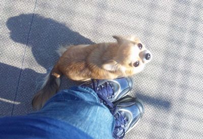 2011 11.17 016.jpg